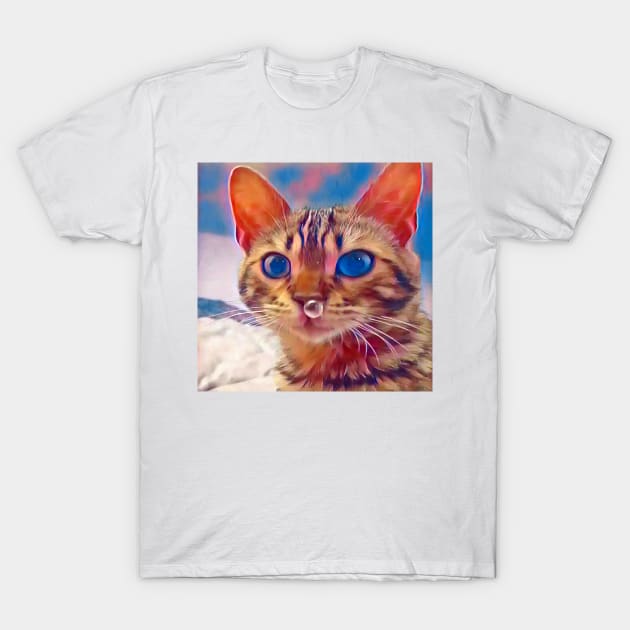 The kitten T-Shirt by d1a2n3i4l5